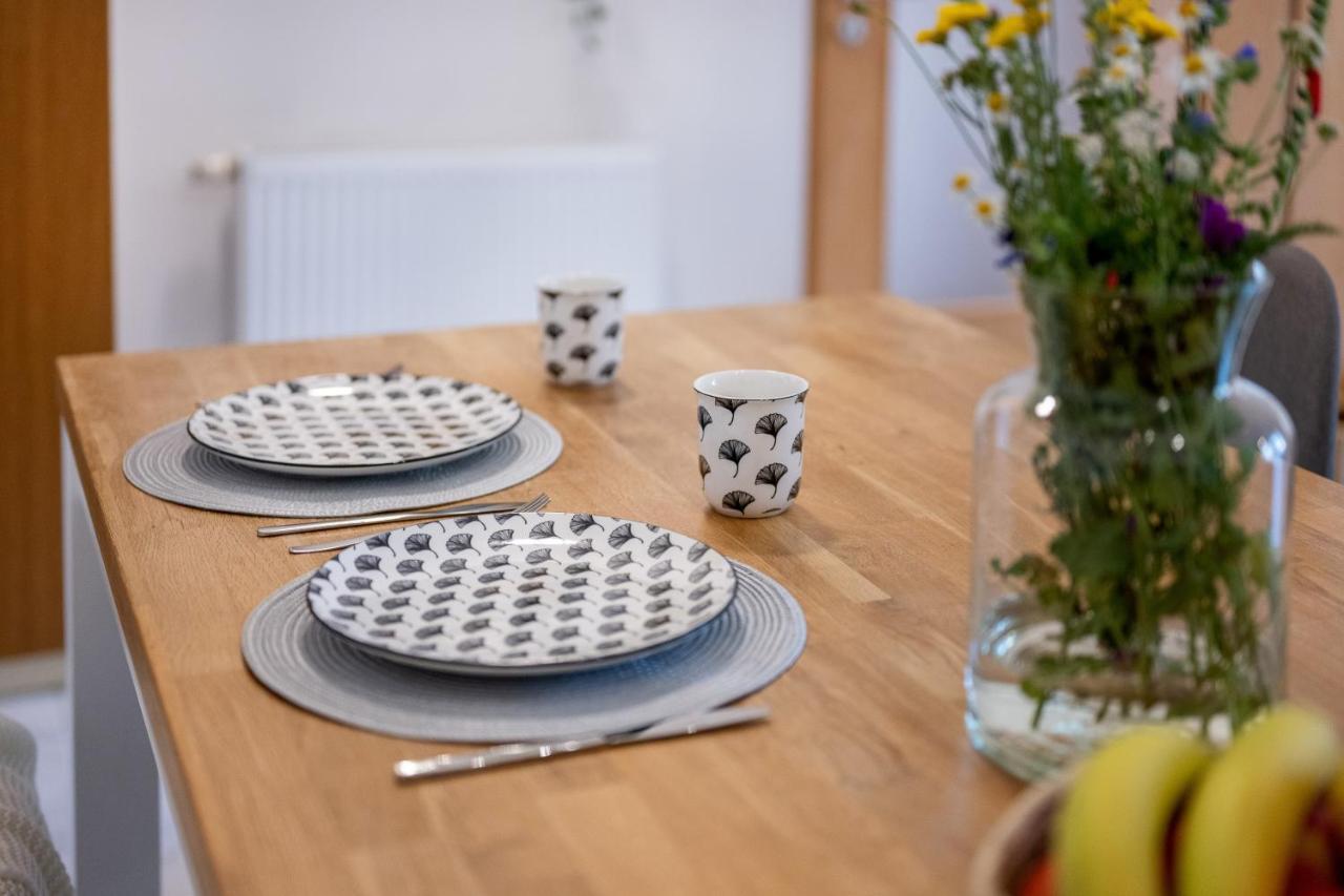 Wohlfuehlwohnung Mit 25 Qm Terrasse, Netflix Coblenza Esterno foto