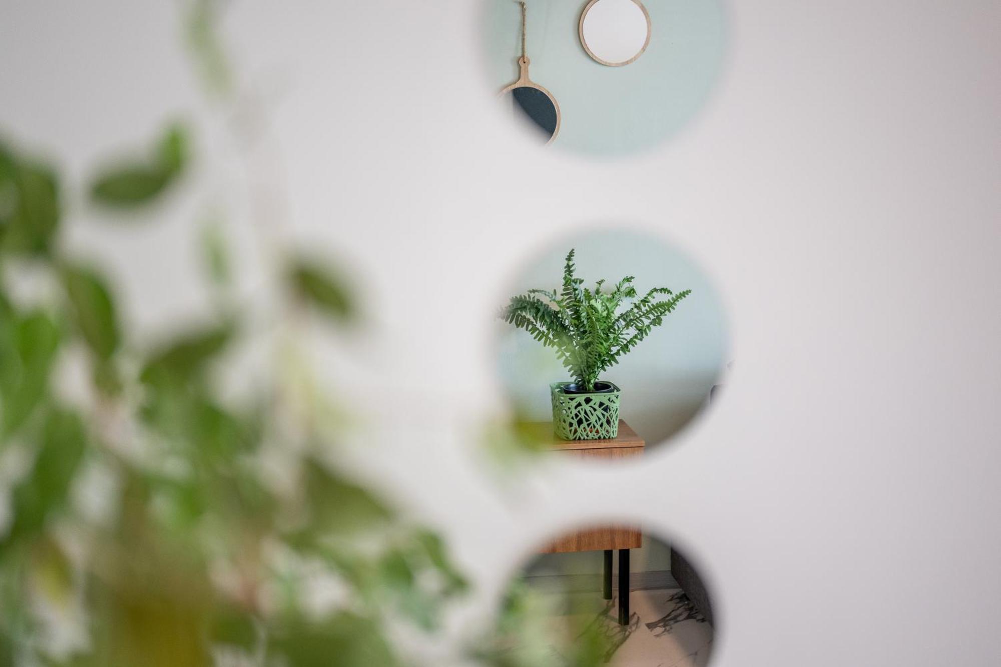 Wohlfuehlwohnung Mit 25 Qm Terrasse, Netflix Coblenza Esterno foto